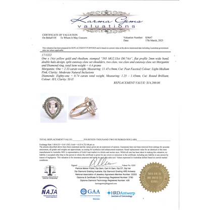 Yellow Gold Morganite and Diamond Double Halo Ring
