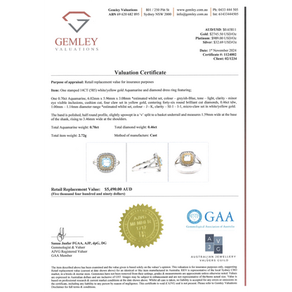 White/Yellow Gold Aquamarine & Diamond Double Halo Ring